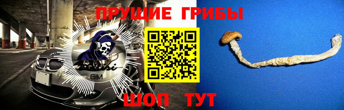 Псилоцибиновые грибы Magic Shrooms Волгодонск