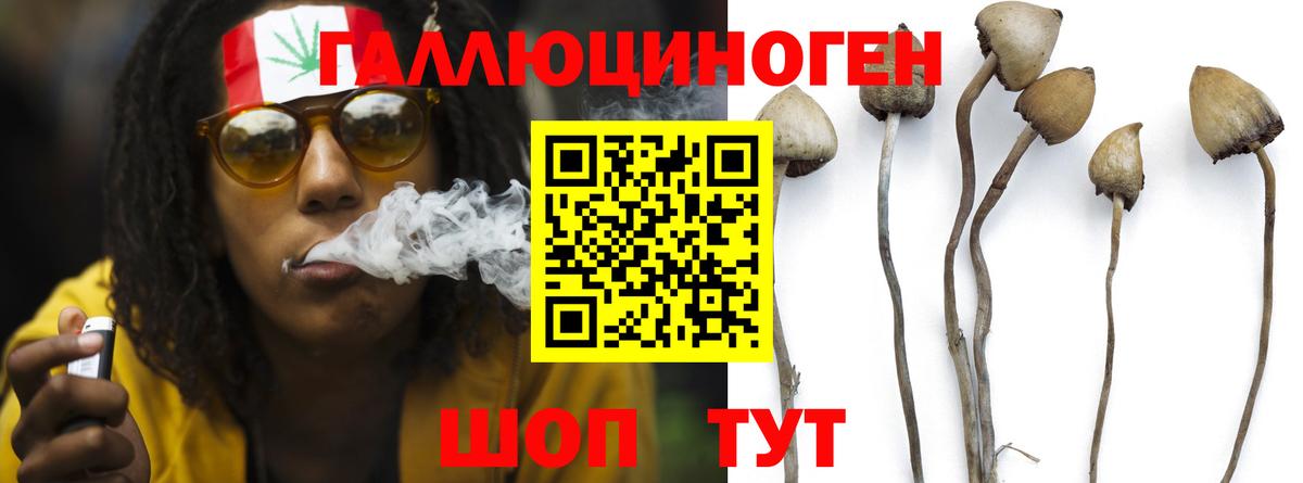 Волгодонск  Псилоцибиновые грибы Psilocybine cubensis  Галлюциногенные грибы Psilocybe  Вход с VPN 